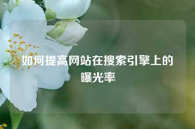 如何提高网站在搜索引擎上的曝光率