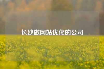 长沙做网站优化的公司