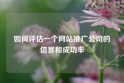 如何评估一个网站推广公司的信誉和成功率