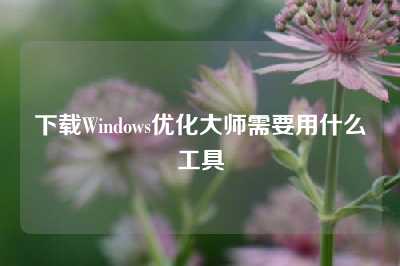 下载Windows优化大师需要用什么工具