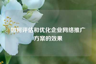 如何评估和优化企业网络推广方案的效果