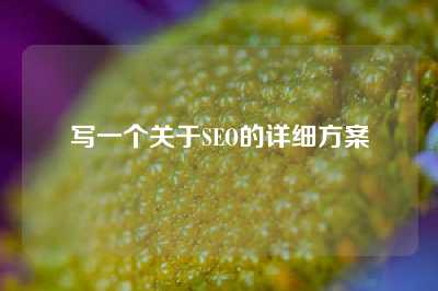 写一个关于SEO的详细方案