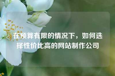 在预算有限的情况下，如何选择性价比高的网站制作公司