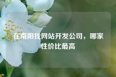 在南阳找网站开发公司，哪家性价比最高