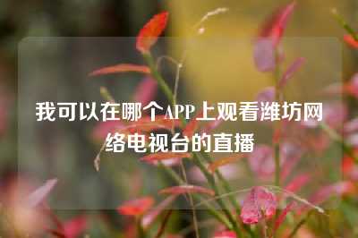 我可以在哪个APP上观看潍坊网络电视台的直播