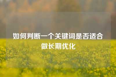 如何判断一个关键词是否适合做长期优化