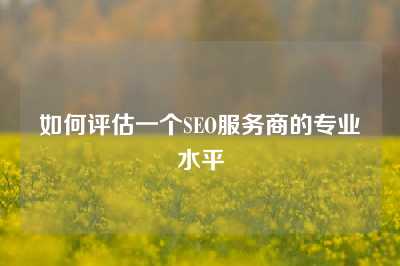 如何评估一个SEO服务商的专业水平