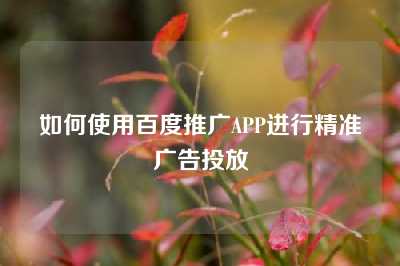 如何使用百度推广APP进行精准广告投放