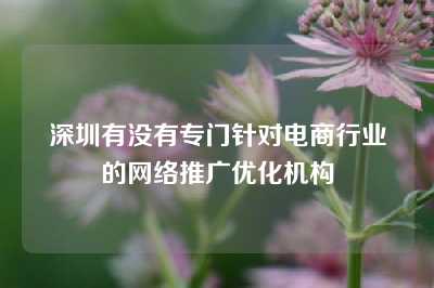 深圳有没有专门针对电商行业的网络推广优化机构