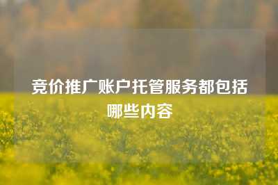 竞价推广账户托管服务都包括哪些内容