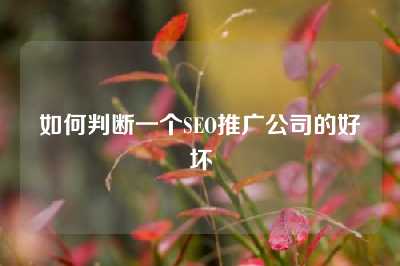 如何判断一个SEO推广公司的好坏