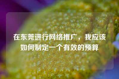 在东莞进行网络推广，我应该如何制定一个有效的预算