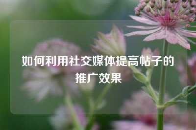 如何利用社交媒体提高帖子的推广效果