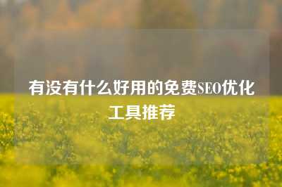 有没有什么好用的免费SEO优化工具推荐