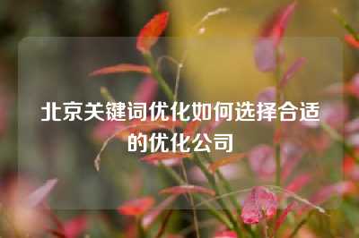 北京关键词优化如何选择合适的优化公司