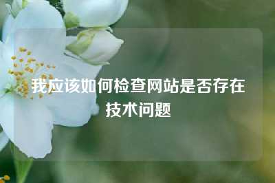 我应该如何检查网站是否存在技术问题