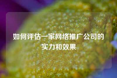 如何评估一家网络推广公司的实力和效果