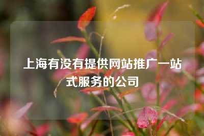 上海有没有提供网站推广一站式服务的公司