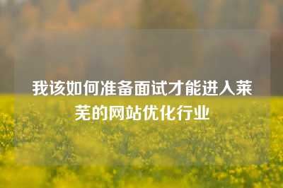 我该如何准备面试才能进入莱芜的网站优化行业