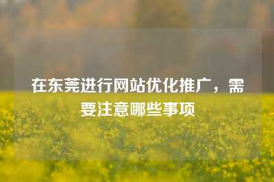 在东莞进行网站优化推广，需要注意哪些事项