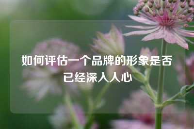 如何评估一个品牌的形象是否已经深入人心