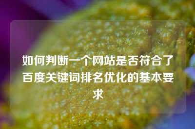 如何判断一个网站是否符合了百度关键词排名优化的基本要求