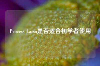 Process Lasso是否适合初学者使用