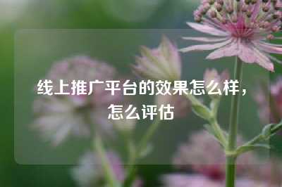 线上推广平台的效果怎么样，怎么评估