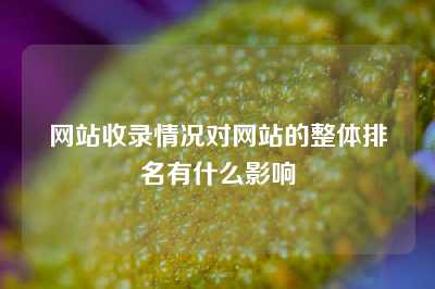 网站收录情况对网站的整体排名有什么影响