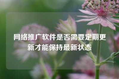 网络推广软件是否需要定期更新才能保持最新状态