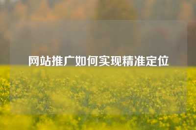 网站推广如何实现精准定位