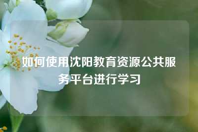 如何使用沈阳教育资源公共服务平台进行学习