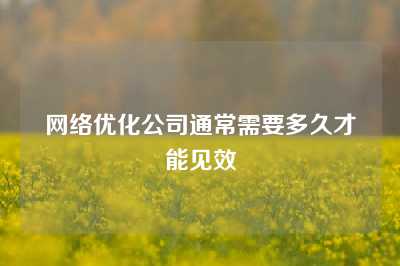 网络优化公司通常需要多久才能见效