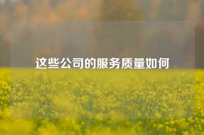 这些公司的服务质量如何