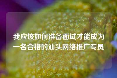 我应该如何准备面试才能成为一名合格的汕头网络推广专员