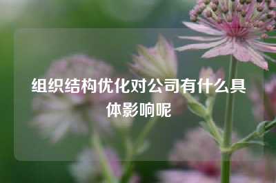 组织结构优化对公司有什么具体影响呢