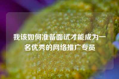 我该如何准备面试才能成为一名优秀的网络推广专员