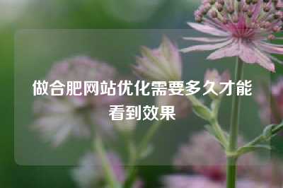 做合肥网站优化需要多久才能看到效果