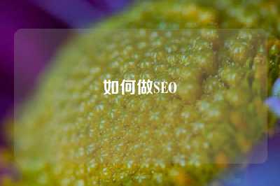 如何做SEO