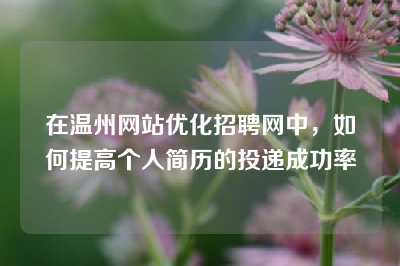 在温州网站优化招聘网中，如何提高个人简历的投递成功率