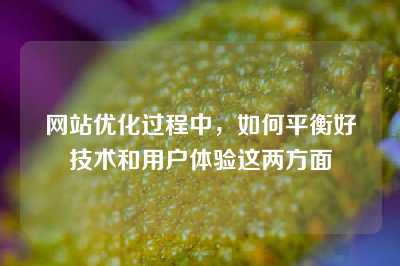 网站优化过程中，如何平衡好技术和用户体验这两方面