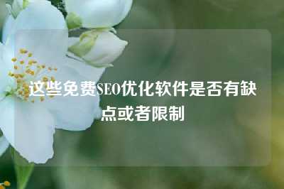 这些免费SEO优化软件是否有缺点或者限制