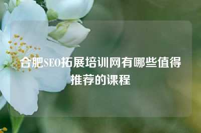 合肥SEO拓展培训网有哪些值得推荐的课程