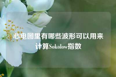 心电图里有哪些波形可以用来计算Sokolow指数