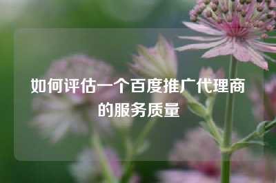 如何评估一个百度推广代理商的服务质量