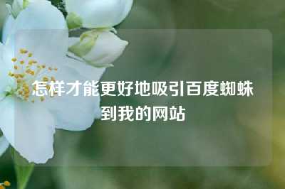 怎样才能更好地吸引百度蜘蛛到我的网站