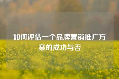 如何评估一个品牌营销推广方案的成功与否