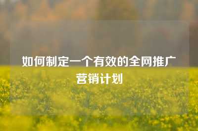 如何制定一个有效的全网推广营销计划