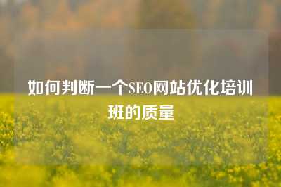 如何判断一个SEO网站优化培训班的质量