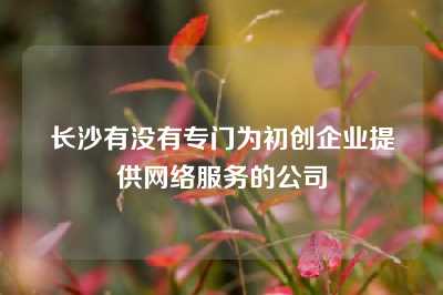 长沙有没有专门为初创企业提供网络服务的公司